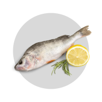 Fischfilets &amp; Meeresfrüchte
