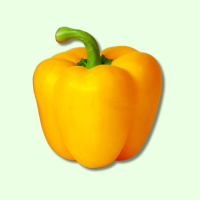 Frisch Paprika Gelb - je kg