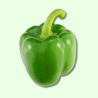 Frisch Paprika Gr&uuml;n - je kg