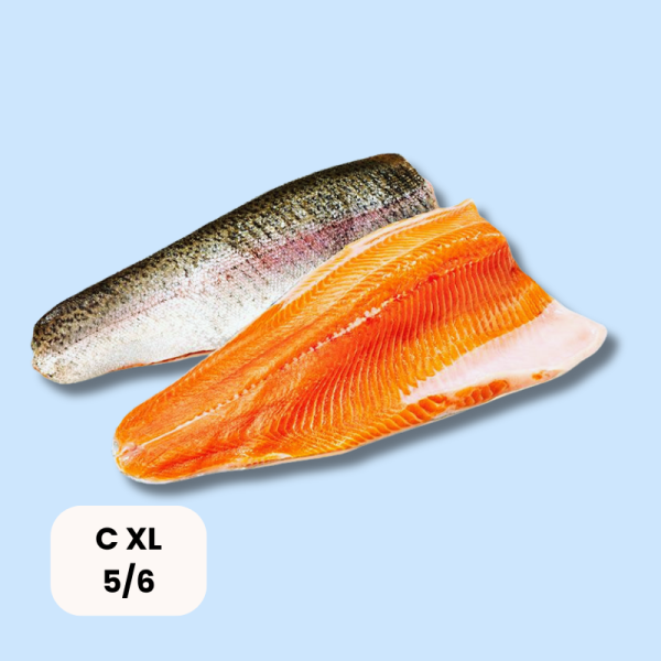 Lachsfilet TK Trim C XL 5/6 ca.12-14kg Kiste - je kg