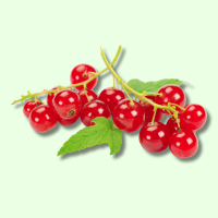 Frisch Johannisbeeren Rot 125g
