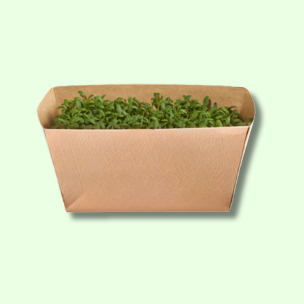 Fresh Organic Cress, 10 x 40g Trays, Box