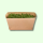 Fresh Organic Cress, 10 x 40g Trays, Box