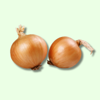 Frisch Gem&uuml;se Zwiebeln - je kg