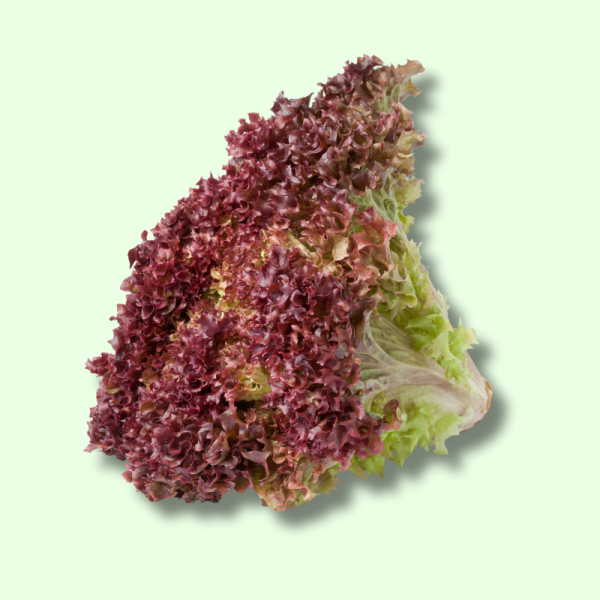Lollo Rosso tươi, cắt miếng