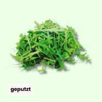 Frisch Rucola geputzt - Preis pro 250g