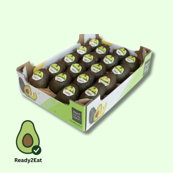 Frisch Avocado Ready2Eat 18er Kiste
