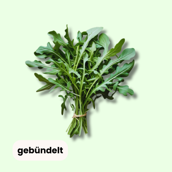 Frisch Rucola gebündelt - Preis pro 250g