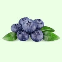 Frisch Blaubeere Heidelbeere 125g Schale