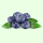 Frisch Blaubeere Heidelbeere 125g Schale