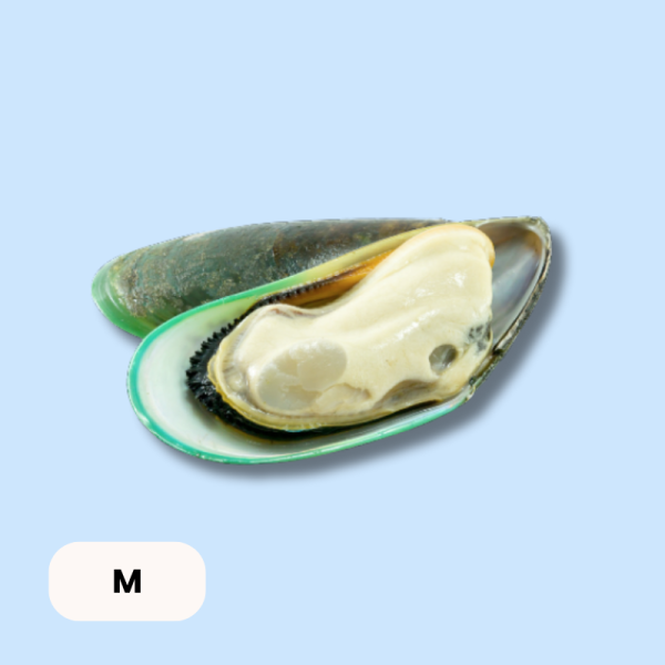 Green-lipped mussels (half-shell), 1 kg