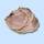 Chashu Ramen Schweinefleisch TK 300g