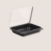 PET Sushi-Box B-09 Family 300STK