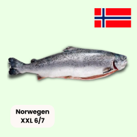 Frisch Lachs Ganz XXL 6/7 ca. 20-25kg Kiste - je kg