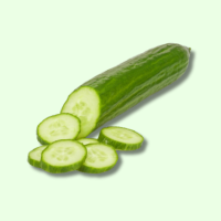 Frisch Salatgurken St&uuml;ck
