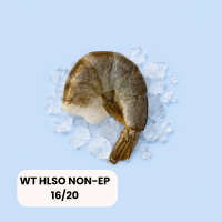 White Tiger Garnelen HLSO 16/20 NON-EP 75%net 1kg