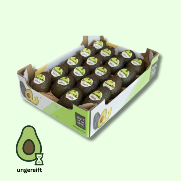 Frisch Avocado ungereift 18er Kiste