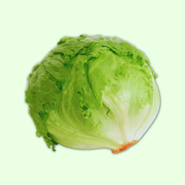 Miếng xà lách búp tươi