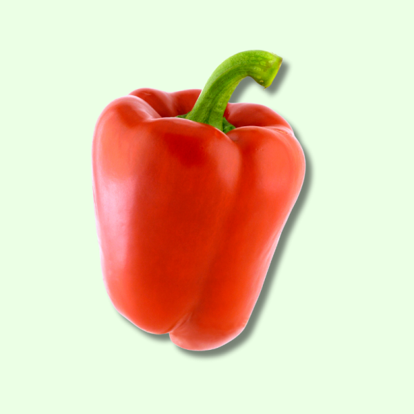 Frisch Paprika Rot - je kg