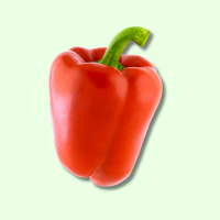 Frisch Paprika Rot - je kg