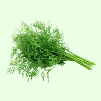 Frisch Dill Bund