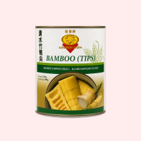 Golden Lion Bambussprossen Spitz 2,95kg Dose
