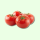 Frisch Strauchtomaten 5 kg Kiste