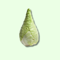 Frisch Spitzkohl St&uuml;ck