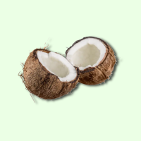 Frisch Kokosnuss St&uuml;ck