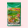 OH!RICEY Reisnudeln Pho Kho grün 3mm 500g